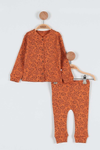 Tarçın (6-12 Ay) Aslan Baskılı Erkek Bebe Pijama Takımı 186685