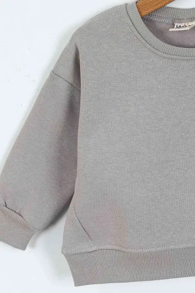 Taş (0-4 Yaş)Rawr Baskılı  3  İp Şardonlu Erkek Çocuk Sweatshirt 415037