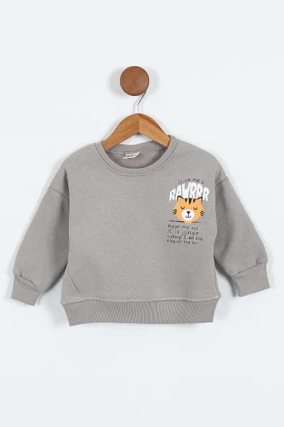 Taş (0-4 Yaş)Rawr Baskılı  3  İp Şardonlu Erkek Çocuk Sweatshirt 415037