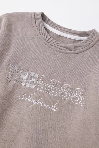 Taş (2-12 Yaş) Theless Nakışlı  İçi Şardonlu Erkek  Çocuk Sweatshirt 483297
