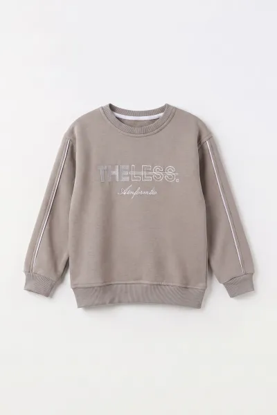 Taş (2-12 Yaş) Theless Nakışlı  İçi Şardonlu Erkek  Çocuk Sweatshirt 483297