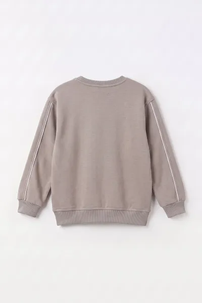 Taş (2-12 Yaş) Theless Nakışlı  İçi Şardonlu Erkek  Çocuk Sweatshirt 483297