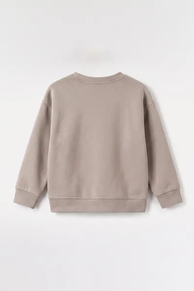Taş (3-12 Yaş) Yazı Nakışlı Erkek Çocuk Sweatshirt 473818