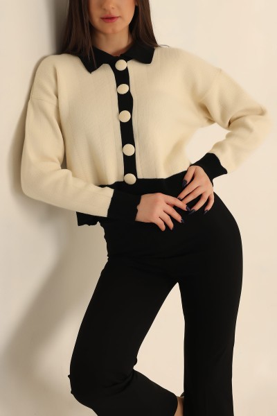 Taş Polo Yaka Düğmeli Bayan Triko 223665