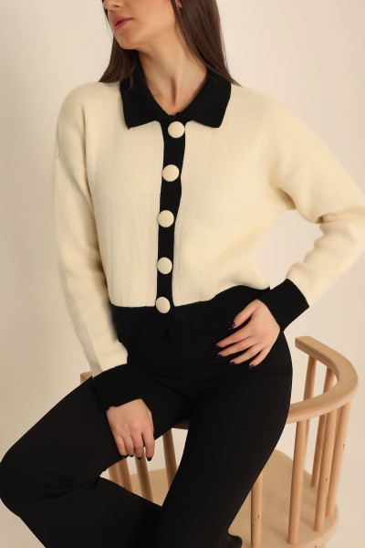Taş Polo Yaka Düğmeli Bayan Triko 223665