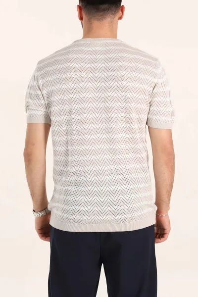 Taş Slim Fit Çizgili Bisiklet Yaka Erkek Triko Tişört 358313