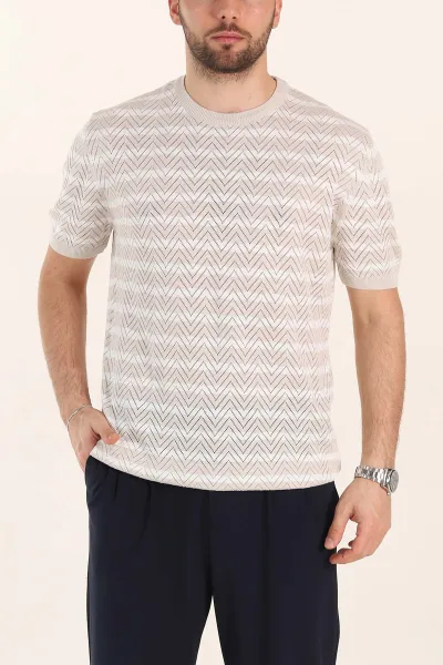 Taş Slim Fit Çizgili Bisiklet Yaka Erkek Triko Tişört 358313