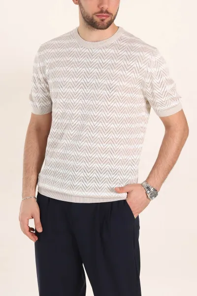 tas-slim-fit-cizgili-bisiklet-yaka-erkek-triko-tisort-358313