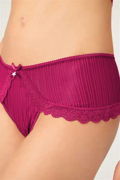 Vişne CH0126 Çizgi Dantelli Taş Detaylı Kadın Hipster Külot 227291