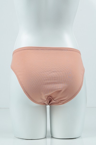 Vizon 1001 Basic Bikini Külot 99474