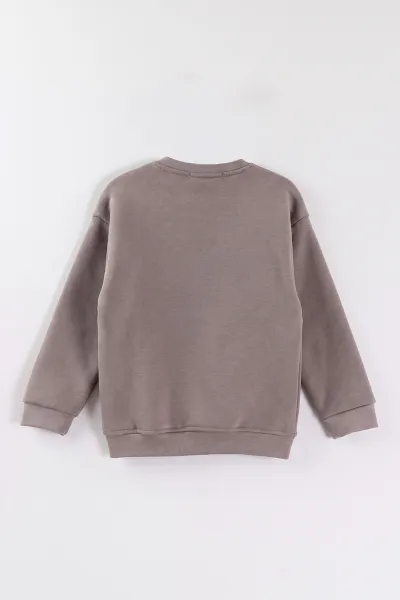 Vizon (4-12 Yaş) Süzene Nakışlı İçi Şardonlu Erkek Çocuk Sweatshirt 495865