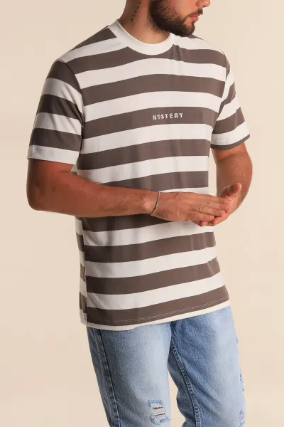 vizon-beyaz-cizgili-relaxed-fit-yazi-detay-erkek-triko-tisort-279247