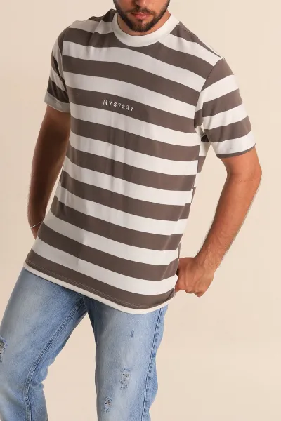 Vizon Beyaz Çizgili Relaxed Fit Yazı Detay Erkek Triko Tişört 279247