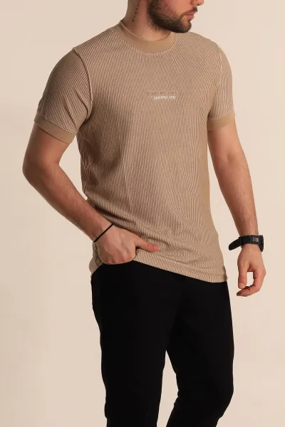 vizon-regular-fit-cizgi-dokulu-yazi-detay-erkek-tisort-268724