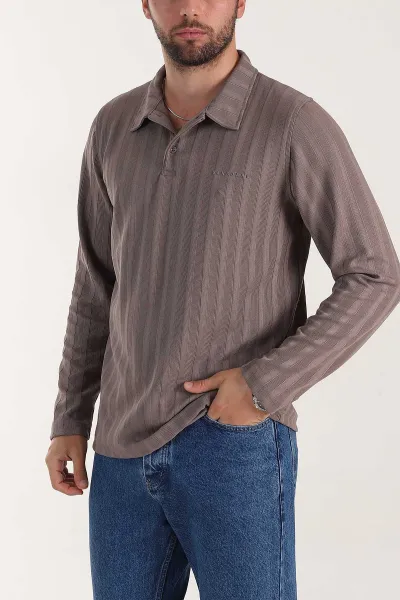 Vizon Relaxed Fit Jakarlı Kumaş Yazı Detay Polo Yaka Erkek Sweatshirt 399383