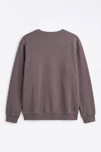 Vizon Selanik Bisiklet Yaka Erkek Sweatshirt 494736
