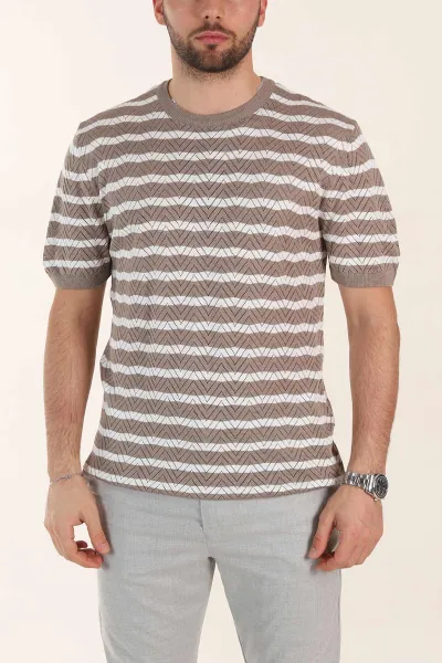 Vizon Slim Fit Çizgili Bisiklet Yaka Erkek Triko Tişört 358312