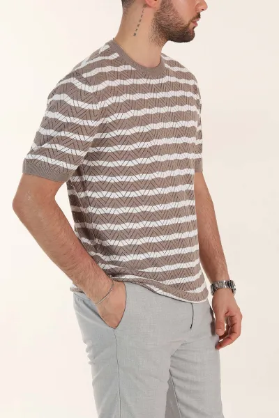 Vizon Slim Fit Çizgili Bisiklet Yaka Erkek Triko Tişört 358312