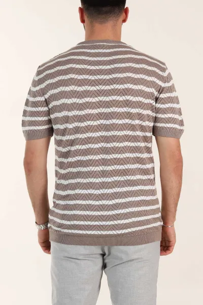 Vizon Slim Fit Çizgili Bisiklet Yaka Erkek Triko Tişört 358312