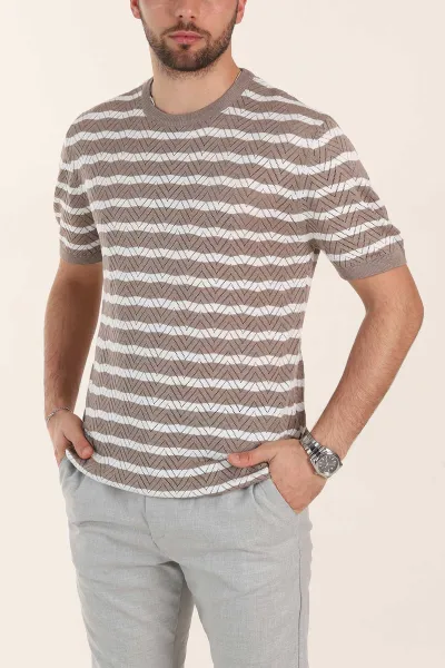 vizon-slim-fit-cizgili-bisiklet-yaka-erkek-triko-tisort-358312