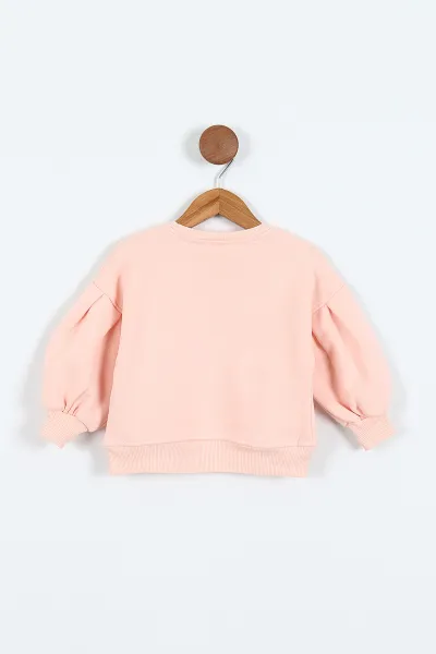 Yavruağzı (0-4 Yaş)Çiçek Nakışlı Baskılı  3 İp Şardonlu Kız Çocuk Sweatshirt 417579