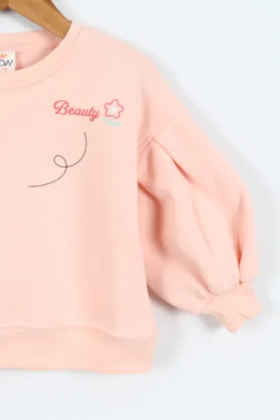 Yavruağzı (0-4 Yaş)Çiçek Nakışlı Baskılı  3 İp Şardonlu Kız Çocuk Sweatshirt 417579