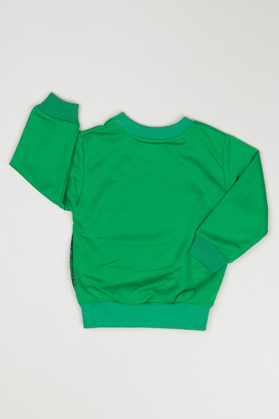 Yeşil (2-5 Yaş) Trex Baskılı Erkek Çocuk Sweatshirt 90271