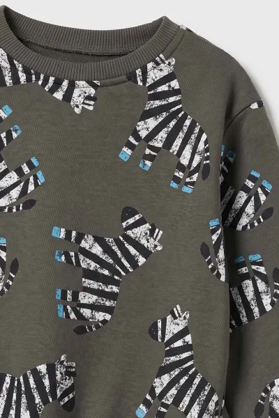 Yeşil (2-5 Yaş) Zebra Baskılı 3 İp Şardonlu Erkek Çocuk Kışlık Takım 496393
