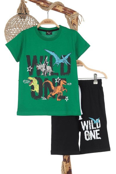 yesil-3-10-yas-wild-one-dinazor-baskili-erkek-cocuk-takim-171062