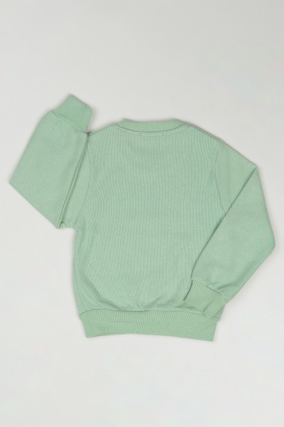 Yeşil (3-7 Yaş) Fashion Baskılı Kız Çocuk Sweatshirt 84804