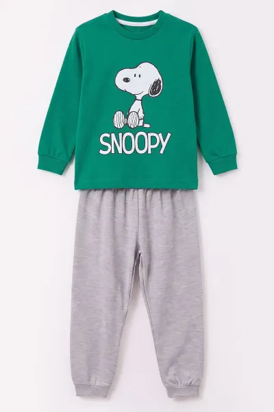 Yeşil (3-8 Yaş) Karakter Baskılı İnterlok Kumaş Erkek Çocuk Pijama Takım 491038