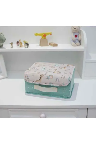Yeşil 30x22x15 Baby Kapaklı Kutu Mini 250458