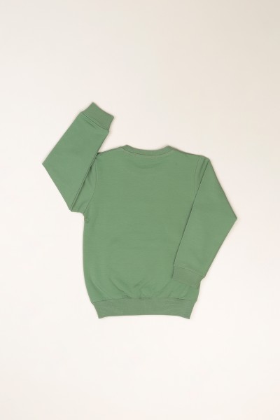 Yeşil (5-8 Yaş) Tnecaemni Baskılı Erkek Çocuk Sweatshirt 82540