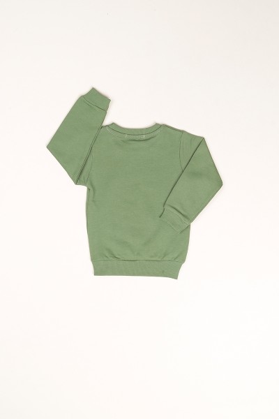 Yeşil İçi Şardonlu Monster Baskılı Erkek Çocuk Sweat 80973